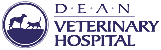 Dean Veterinary Hospital